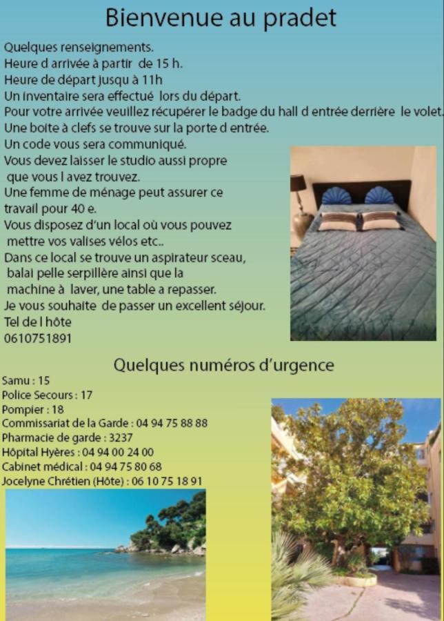 Les Roches Bleues Apartment Le Pradet Exterior photo